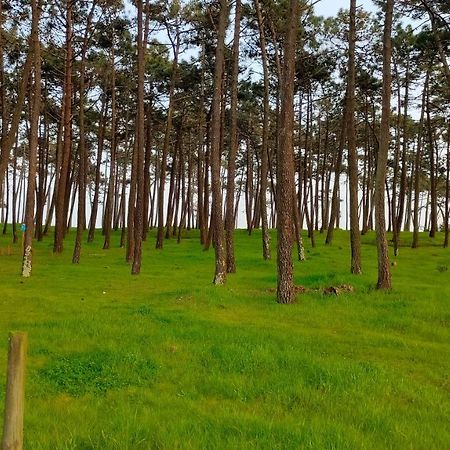 Mira Mar Apartment Furadouro オヴァール エクステリア 写真
